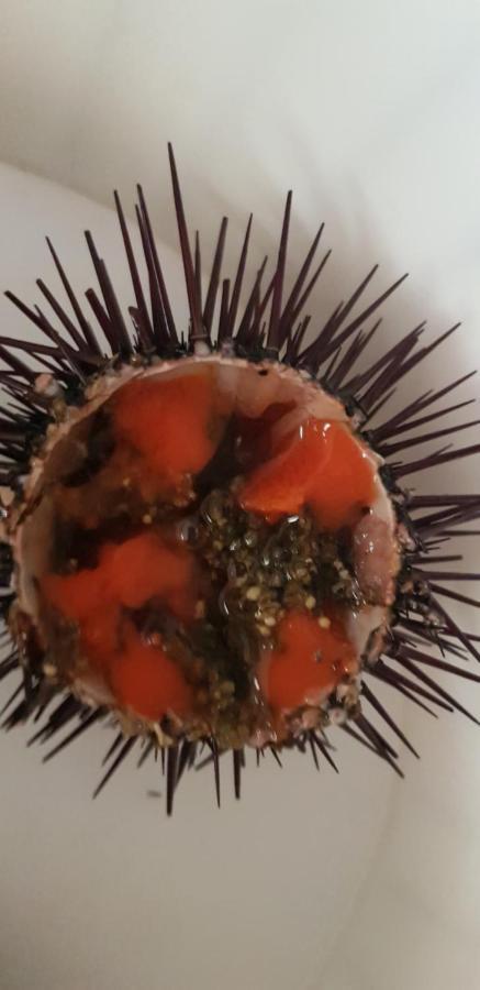 Bed & Breakfast L'onda Blu